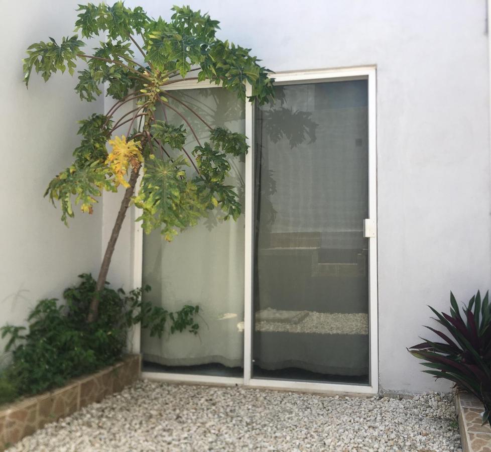 Green Lofts Cancún Exteriör bild
